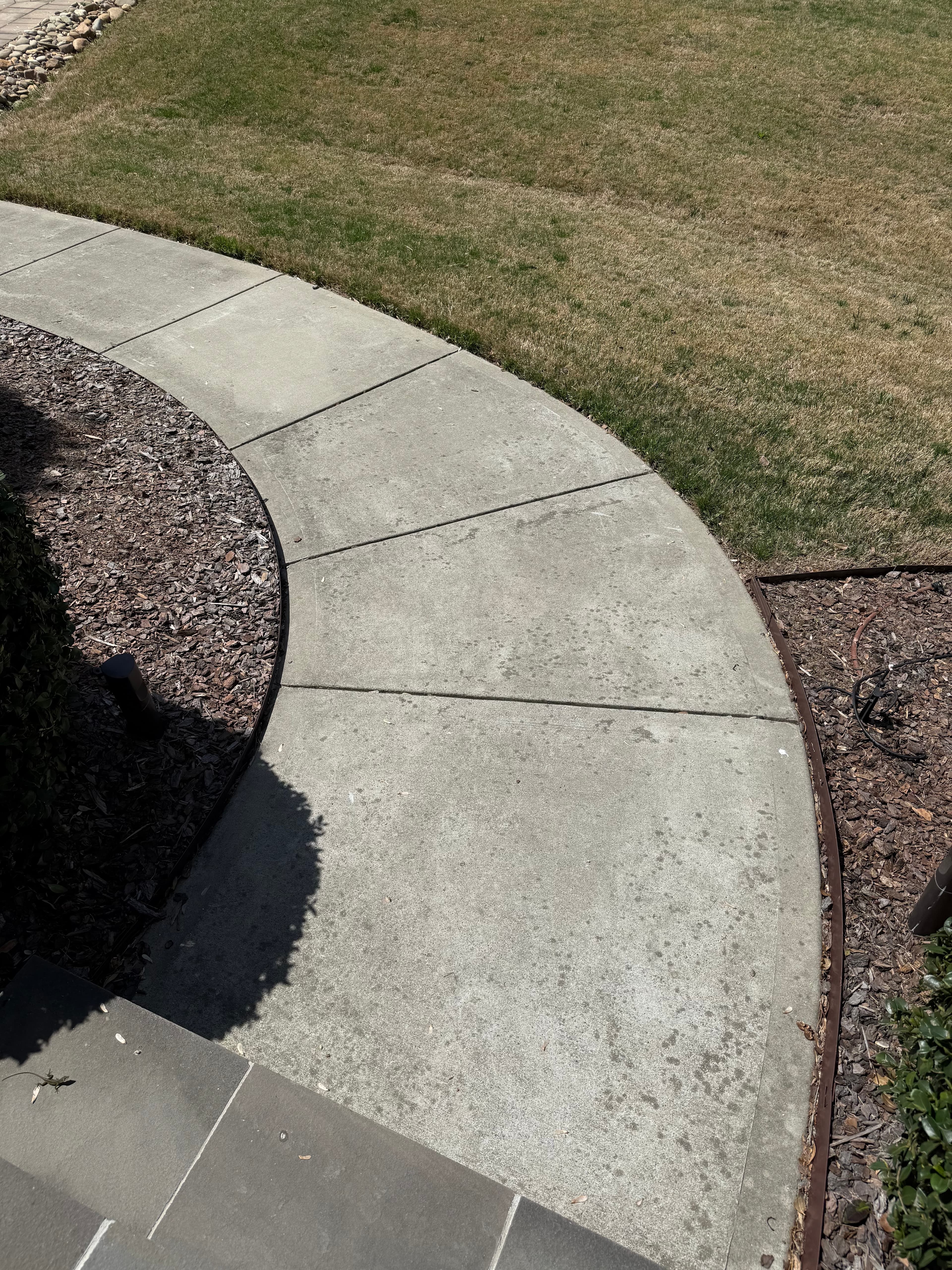 Before — Concrete sidewalk pressure washing in Concord, NC